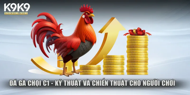 Đá gà chọi c1