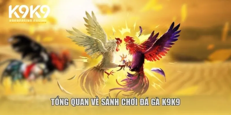 đá gà K9K9