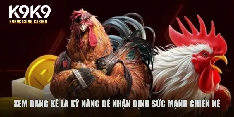 đá gà K9K9