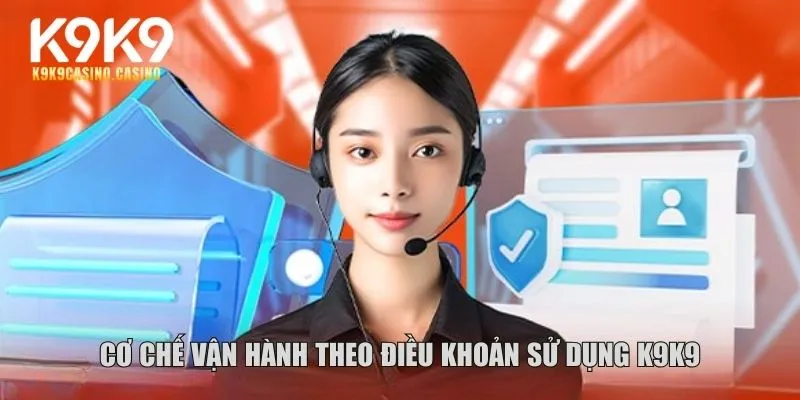 Điều khoản sử dụng K9K9