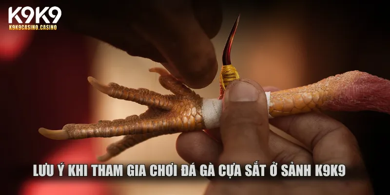 Lưu ý khi tham gia chơi đá gà cựa sắt ở sảnh K9K9